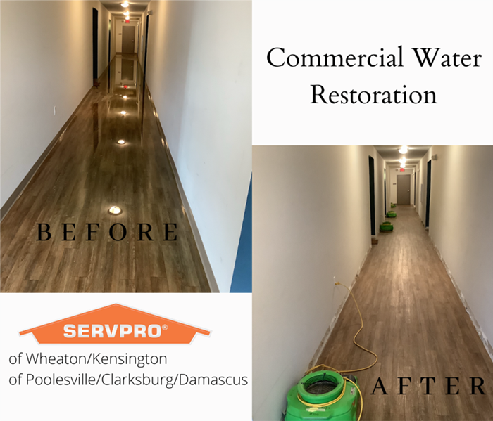 A before and after photo of a commercial water damage job